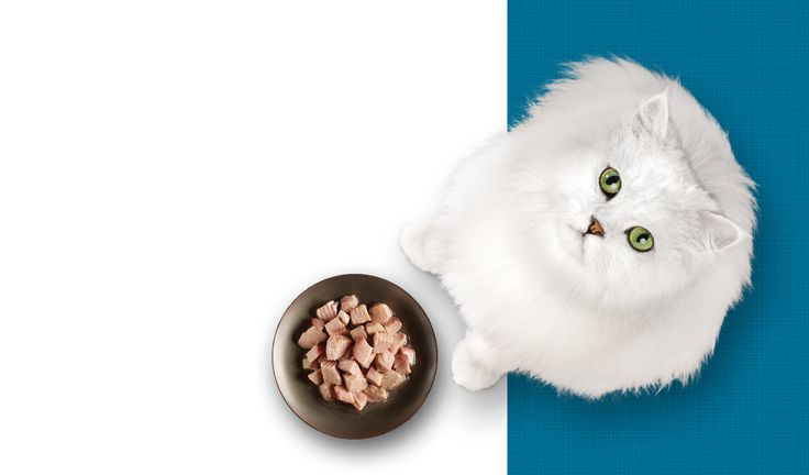 Muestra Gratis de Purely Fancy Feast