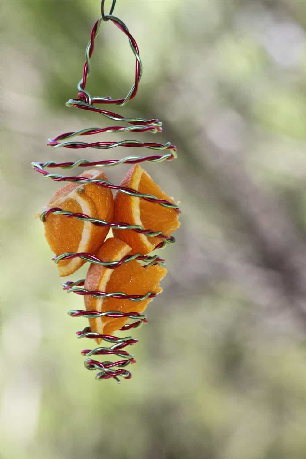 Bird Feeder con Ganchos