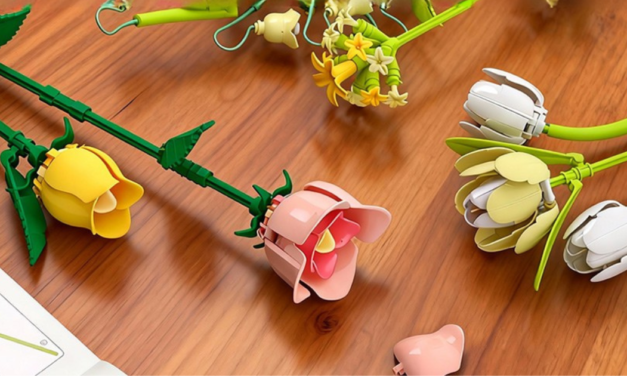 Set de Bloques de Construcción desde $8